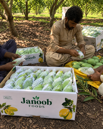 Premium Export Quality Langra Mango