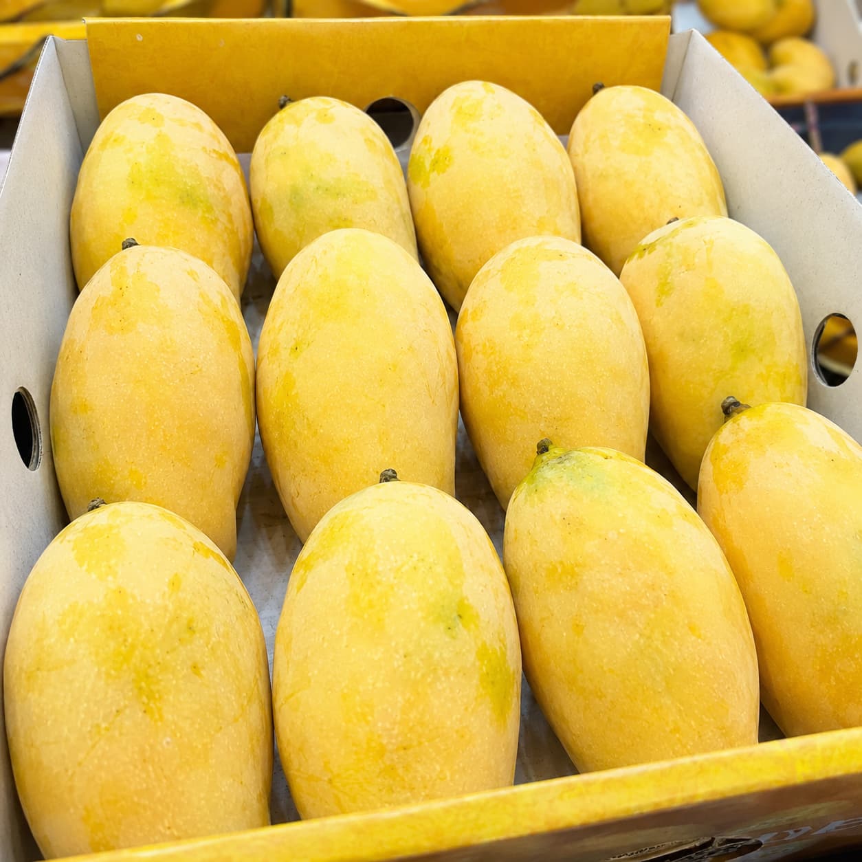 Premium Export Quality White Chaunsa Mango Multani
