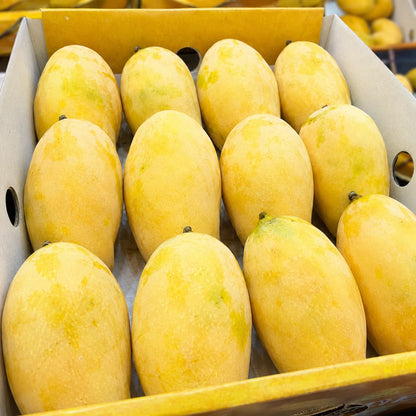 Ripe White Chaunsa mangoes closeup — honey-sweet fibre-free Multani mango